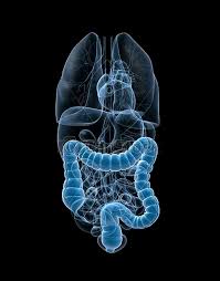 colon hydrotherapy