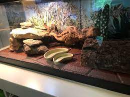 flooring for bearded dragon terrariums