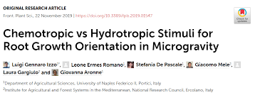 Get giovanna mele's contact information, age, background check, white pages, bankruptcies, property records, liens, civil records & marriage history. Article Chemotropic Vs Hydrotropic Stimuli For Root Growth Orientation In Microgravity