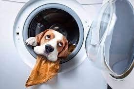 remove pet odor wash dog beds groom