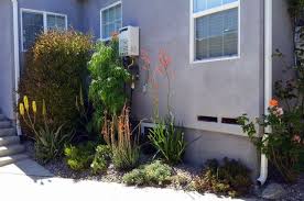 Drought Tolerant Landscaping Tips