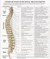 Cancer Natural Therapies And Cures How Spinal Misalignment