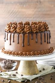 the best chocolate cake recipe life