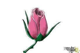 how to draw a rose bud drawingnow