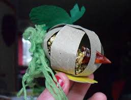 toilet roll foraging bird petdiys com