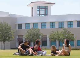 Freshman   University of Florida