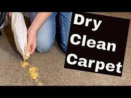 how to dry clean carpet at home how