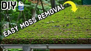 remove moss from roof diy 2 methods