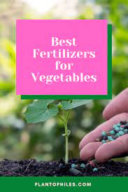 best fertilizers for vegetables 2023