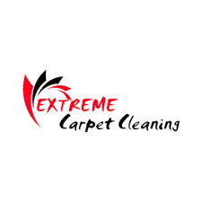 14 best baltimore carpet cleaners