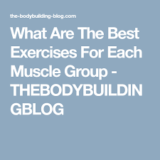 What Are The Best Exercises For Each Muscle Group Workout