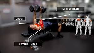 the 4 best dumbbell tricep exercises