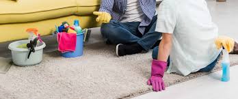 carpet cleaning woodlands tx h town