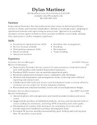 Functional Style Resume Template