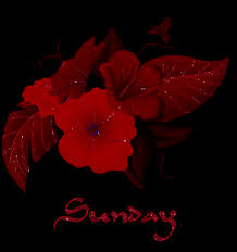red flower sunday glitter