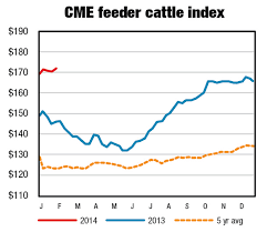 Feeder Cattle Futures Quotes Cme Group