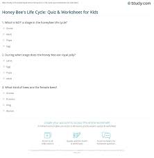 life cycle quiz worksheet for kids