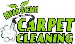 mean steam carpet cleaning warner