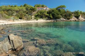 Isola d'elba / case e appartamenti cerchi un'appartamento all'isola d'elba? Residence All Isola D Elba Appartamenti Case Vacanze Elba 2021