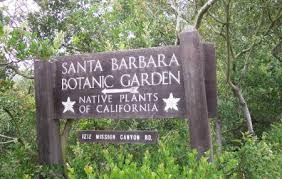 santa barbara botanic garden santa