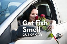 how to get fish smell out of your car