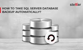 how to backup ms sql server database