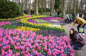 9 most beautiful gardens in europe you