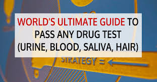 Then you need this guide! World S Ultimate Guide To Passing Any Drug Test Urine Blood Saliva Hair Calculator Marijuana Central