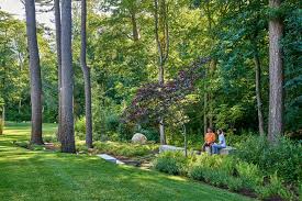 Woodland Garden With Scandinavian Roots