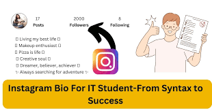 insram bio for it student from
