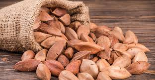 high fat ts fuel interest in pili nuts