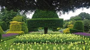 oldest topiary garden