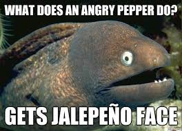 What Does An Angry Pepper Do? | WeKnowMemes via Relatably.com