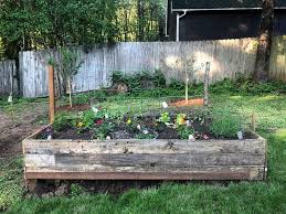 an introduction to square foot gardening