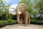 The mammoth's trunk in Ciutadella Park has been restored | Urban ...
