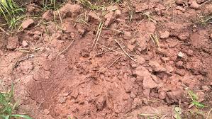 Drainage Solutions For Heavy Clay Soil