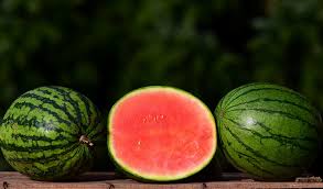 Image result for Melon