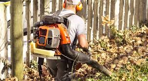 7 Best Backpack Leaf Blowers Reviews Guides 2019 The