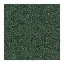 patcraft color choice dark green carpet