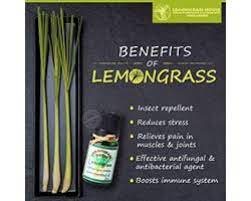 lemongr essential oil