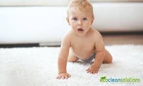 eco friendly carpet cleaning service