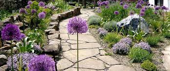 Fortunei, der mit schönem laub und mit leuchtend weißen bis purpurfarbenen blüten besticht. Graser Fur Den Schatten Tipps Beispiele Zur Verwendung Im Garten