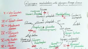 glycogen storage diseases by dr