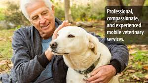 We can help you with all your canine care needs. Healthy Pet Care Visiting Vet