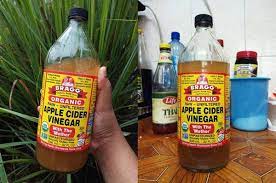 Cuka epal atau apple cider vinegar (acv) adalah salah satu bentuk penyediaan terbaik daripada buah epal. Amalkan Apple Cider Vinegar Untuk Kurus Dan Cantik