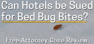 Check into a hotel with bed bugs and you can get bitten and take the insects home with you. Can I Sue A Hotel For Bed Bug Bites Or A Bed Bug Infestation In My Room