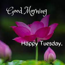 good morning happy tuesday images hd