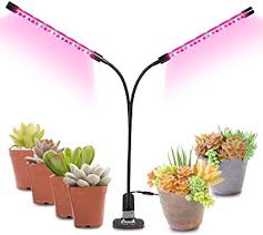 When it comes to growing plants indoors, gardeners are typically fighting for enough light or more consistent light. Amazon Com Led Grow Light For Indoor Plant Dual Head Lights For Growing Plants Seedlings Mini Garden Succulent Timer Switch Panel Dimmable Red And Blue Bulb Clamp Adjustable Gooseneck