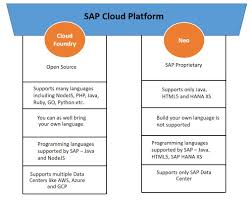 Differentiated service quality to foster speedy innovation. Sap Cloud Platform Environments Cloud Foundry Vs Neo Sap Blogs