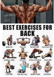 Sinew On Good Back Workouts Biceps Workout Back Workout Men